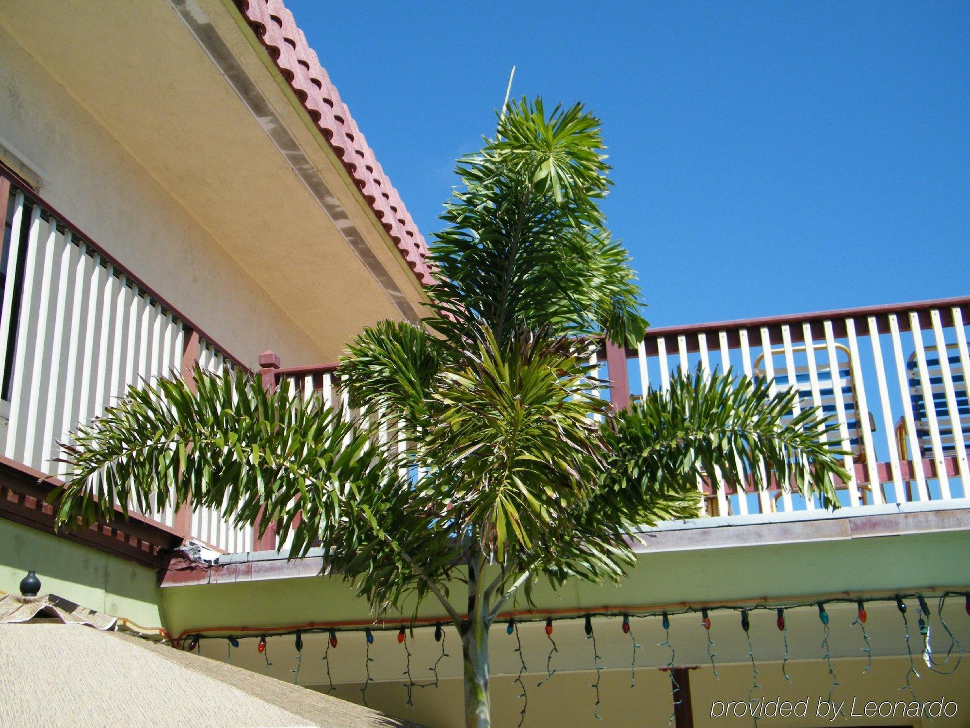 Tropicaire Resort Lauderdale-by-the-Sea Bagian luar foto